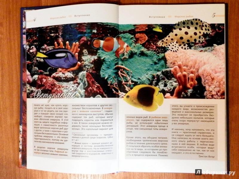 Иллюстрация 7 из 23 для Морской аквариум - Тристан Логер | Лабиринт - книги. Источник: Богданова  Лариса Николаевна