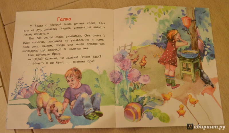 Иллюстрация 15 из 32 для Храбрый утёнок - Борис Житков | Лабиринт - книги. Источник: QZX