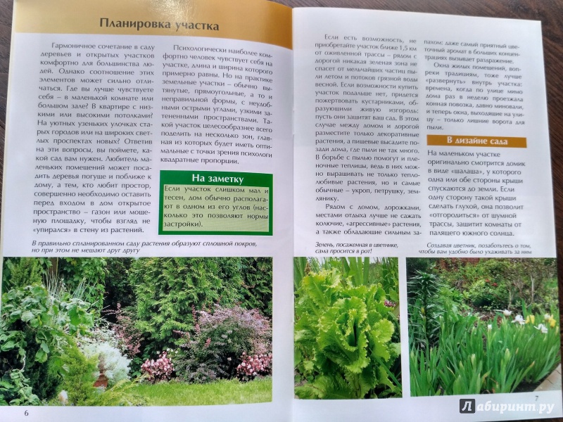 Иллюстрация 22 из 27 для Сад для отдыха и здоровья - Мария Баринова | Лабиринт - книги. Источник: MashaNMV