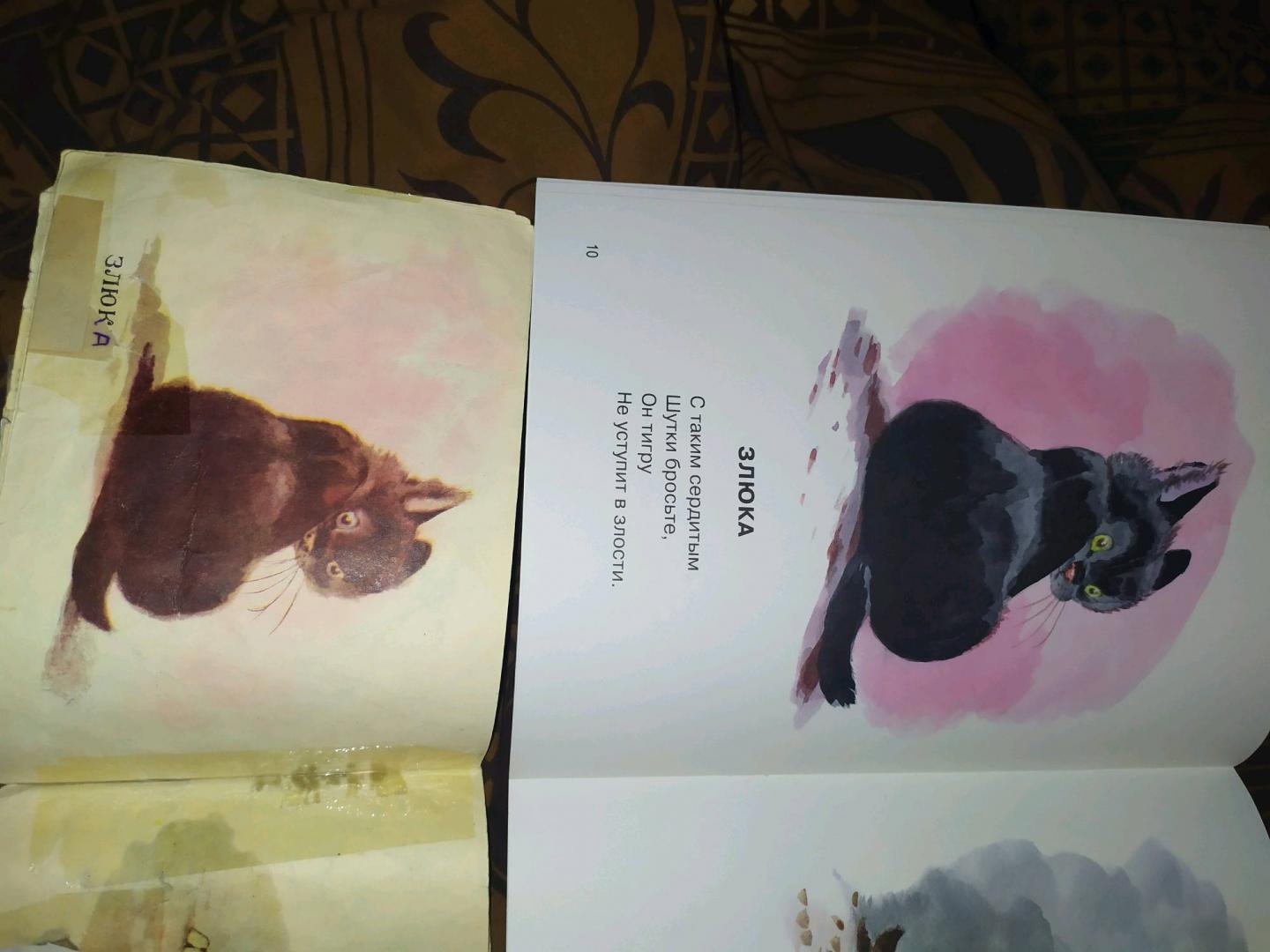 Иллюстрация 61 из 64 для Посмотрите какие котята - Владимир Матвеев | Лабиринт - книги. Источник: Алиса_в_Зазеркалье