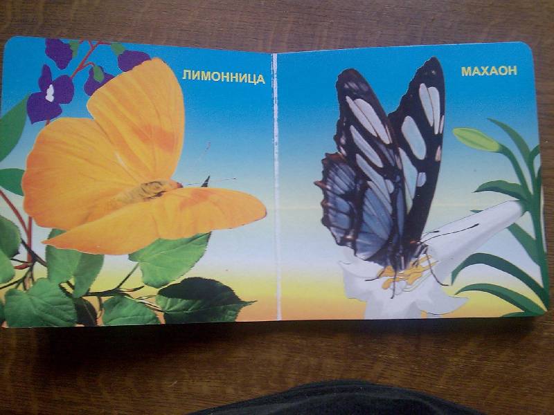 Иллюстрация 2 из 3 для Бабочки | Лабиринт - книги. Источник: Honny
