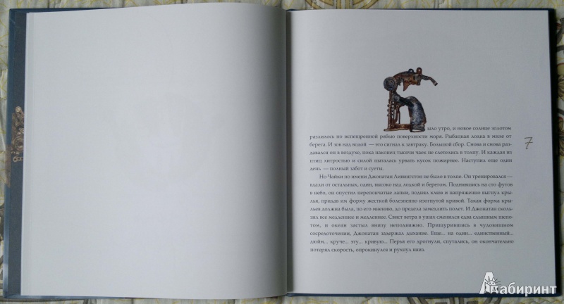Иллюстрация 6 из 27 для Чайка Джонатан Ливингстон - Ричард Бах | Лабиринт - книги. Источник: Спящая на ходу