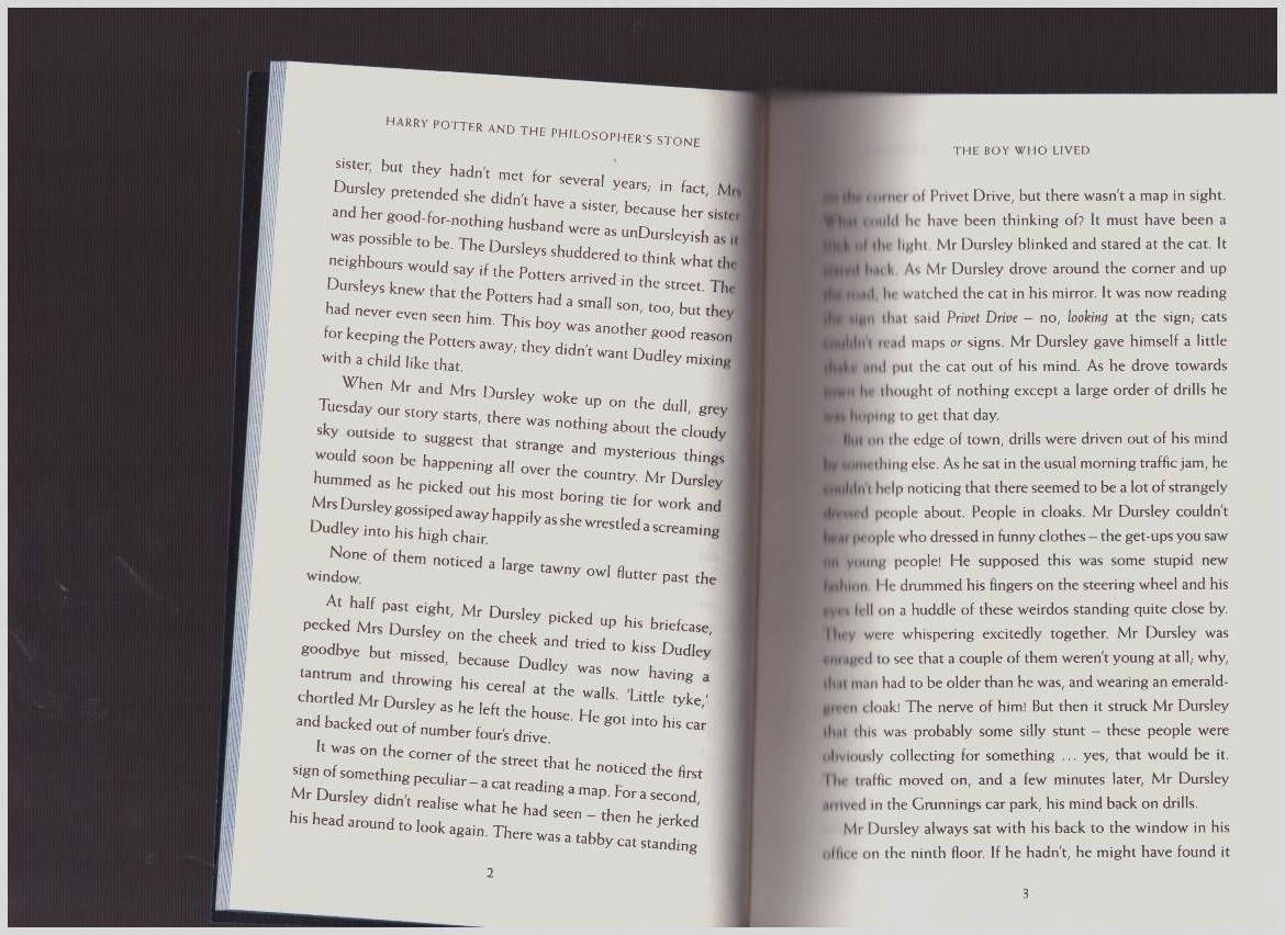 Иллюстрация 22 из 28 для Harry Potter and the Philosopher's Stone - Ravenclaw House Edition - Joanne Rowling | Лабиринт - книги. Источник: LanaEr