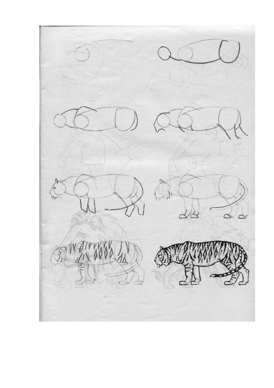 Иллюстрация 17 из 24 для Рисуем 50 животных - Ли Эймис | Лабиринт - книги. Источник: Юта