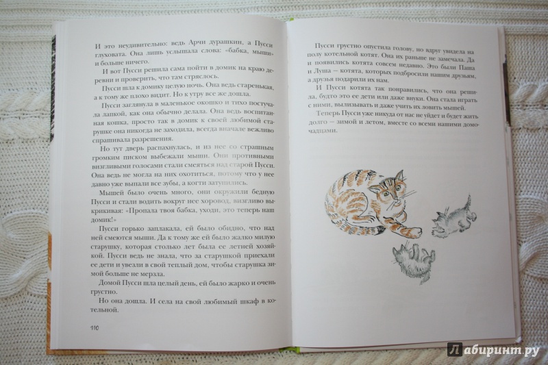 Иллюстрация 16 из 21 для Письма с моей фермы (+ CD) - Маша Слоним | Лабиринт - книги. Источник: Иванова  Анна