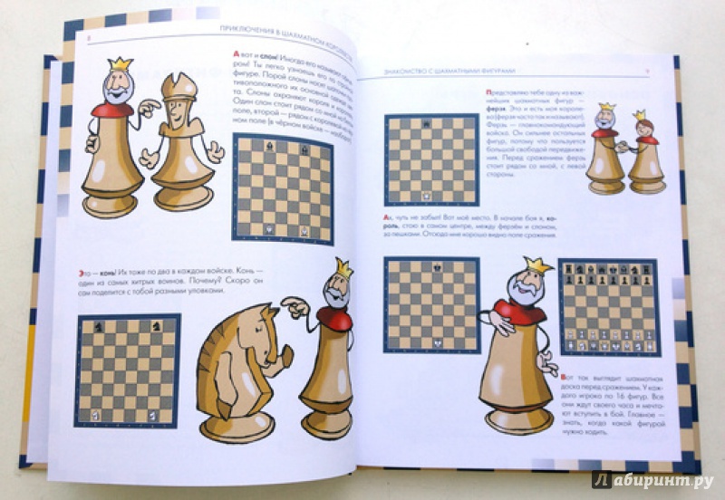 Иллюстрация 19 из 36 для Приключения в шахматном королевстве. Книга 1 - Халас, Геци | Лабиринт - книги. Источник: Olga