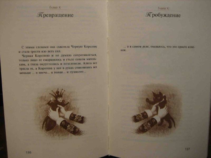 Иллюстрация 27 из 40 для Алиса в Стране Чудес. Алиса в Зазеркалье - Льюис Кэрролл | Лабиринт - книги. Источник: Трухина Ирина