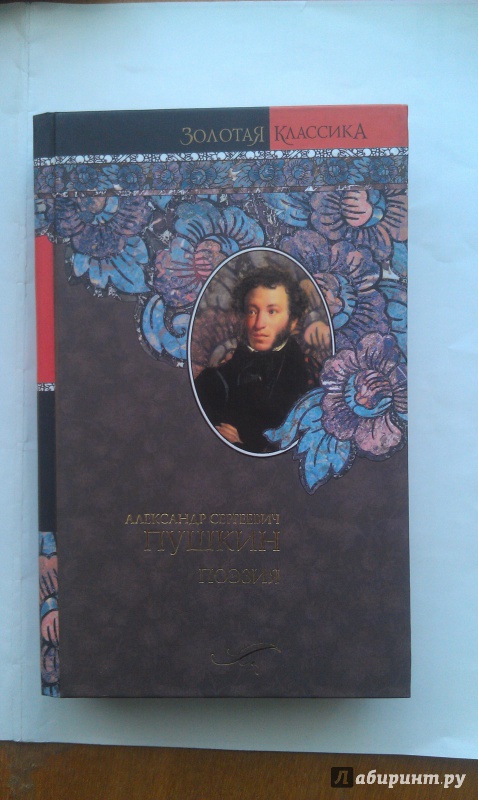 Иллюстрация 14 из 18 для Поэзия - Александр Пушкин | Лабиринт - книги. Источник: Александр Селезнев
