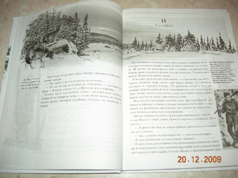 Иллюстрация 19 из 41 для Белый Клык - Джек Лондон | Лабиринт - книги. Источник: Соловей