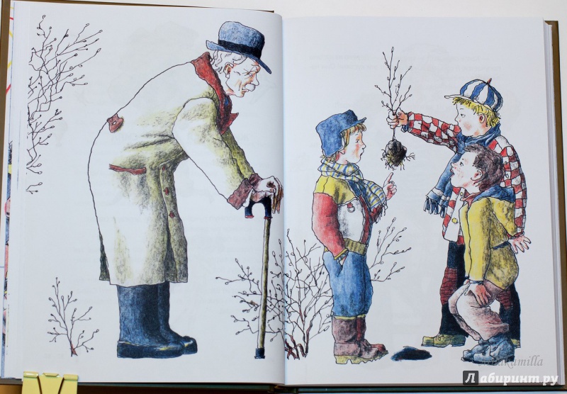 Иллюстрация 50 из 82 для Везучий Борька - Александр Гиневский | Лабиринт - книги. Источник: Букландия