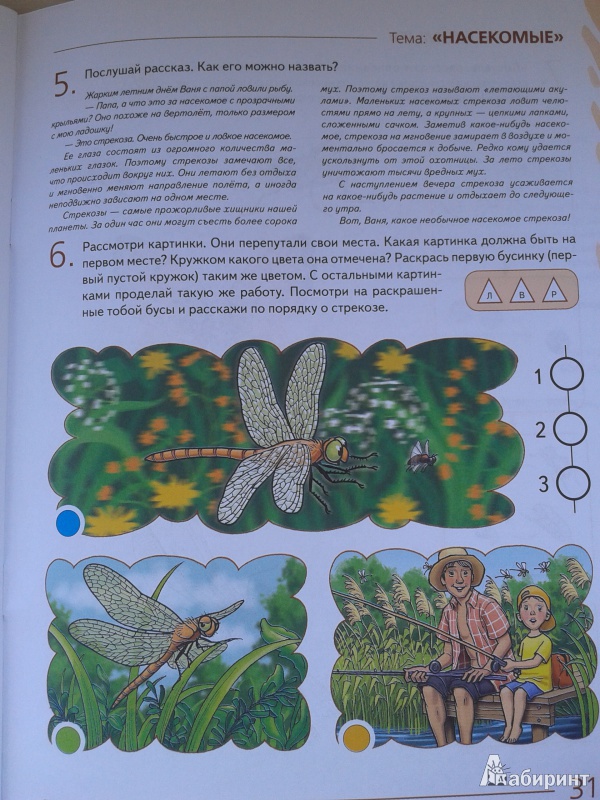 Опорные картинки арбекова 4-5 лет, сентября вектор поздравление