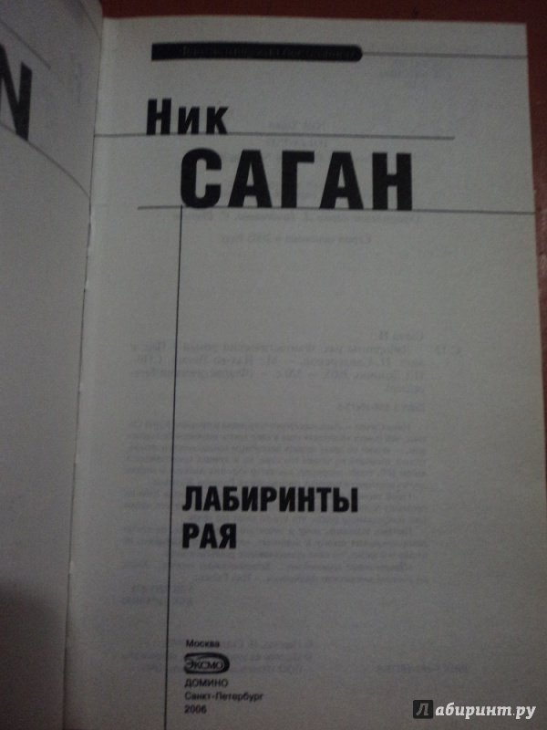 Иллюстрация 2 из 7 для Лабиринты рая: Фантастический роман - Ник Саган | Лабиринт - книги. Источник: Rose