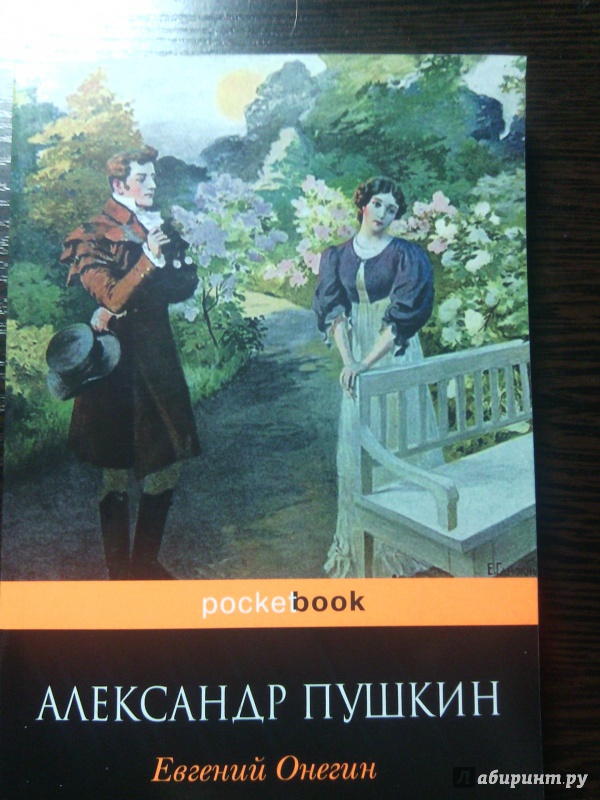 Иллюстрация 15 из 37 для Евгений Онегин - Александр Пушкин | Лабиринт - книги. Источник: Карнюшкина  Ирина