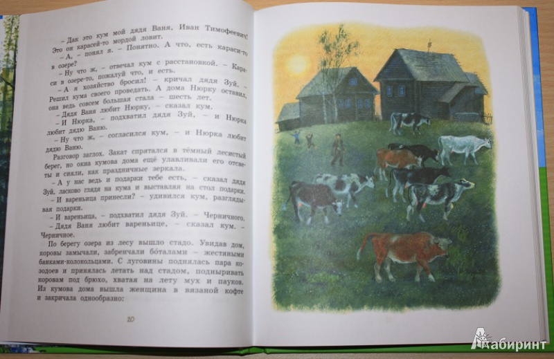Иллюстрация 53 из 59 для Картофельная собака - Юрий Коваль | Лабиринт - книги. Источник: КНИЖНОЕ ДЕТСТВО
