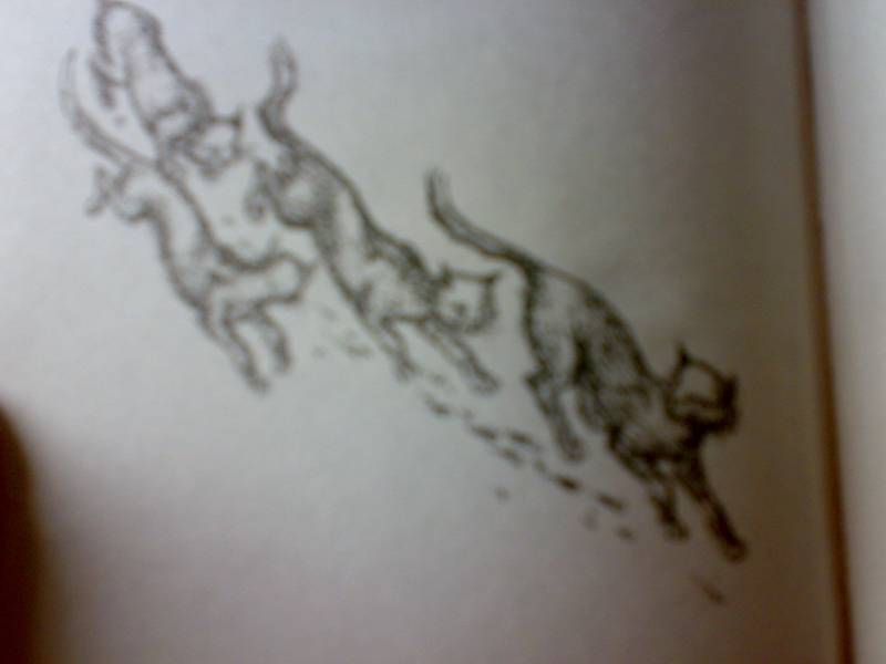 Иллюстрация 5 из 11 для Хвосттрубой, или Приключения молодого кота - Тэд Уильямс | Лабиринт - книги. Источник: Юлия7