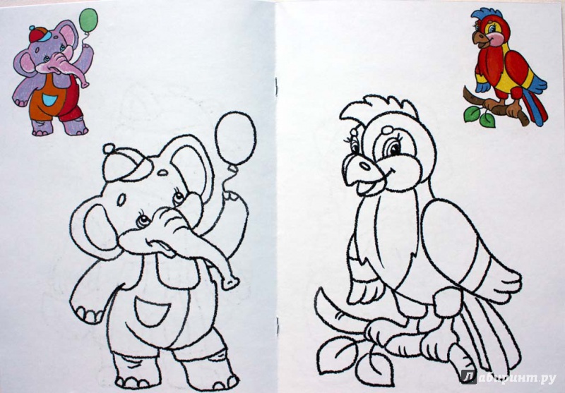 Иллюстрация 2 из 12 для Раскраска малышам. Попугай. 2-4 года | Лабиринт - книги. Источник: Сидоренко  Сергей