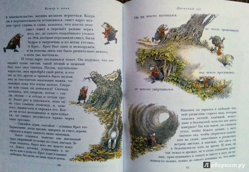 Иллюстрация 19 из 64 для Ветер в ивах - Кеннет Грэм | Лабиринт - книги. Источник: Natalie Leigh