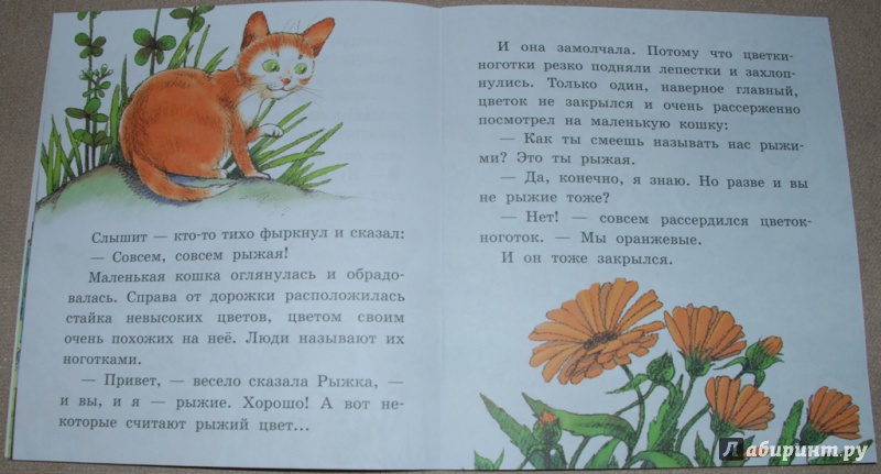 Иллюстрация 8 из 16 для Рыжая сказка - Наталья Абрамцева | Лабиринт - книги. Источник: Книжный кот