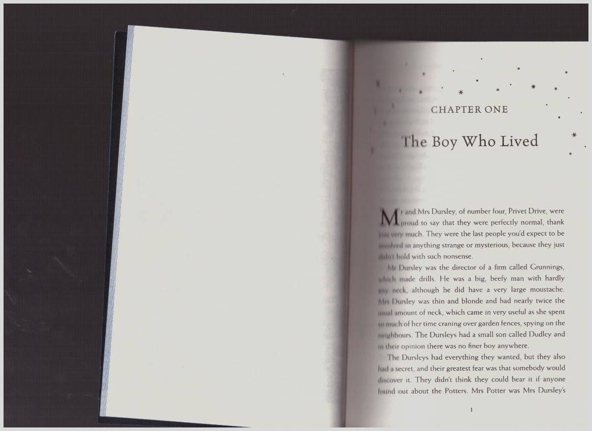 Иллюстрация 21 из 28 для Harry Potter and the Philosopher's Stone - Ravenclaw House Edition - Joanne Rowling | Лабиринт - книги. Источник: LanaEr