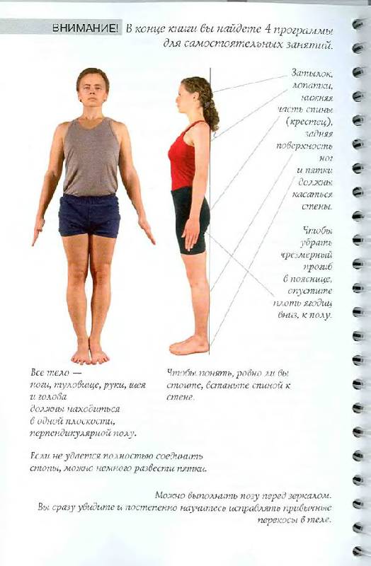 Иллюстрация 5 из 7 для Простая йога для начинающих - Мария Шифферс | Лабиринт - книги. Источник: Кнопа2