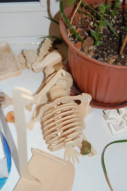 Иллюстрация 13 из 15 для Сборная деревянная модель Скелет человека | Лабиринт - игрушки. Источник: ИринаИ