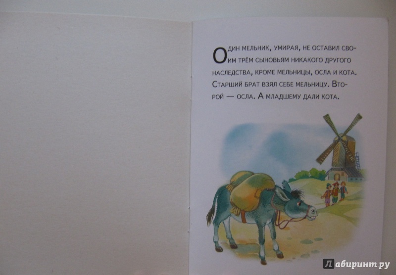 Иллюстрация 5 из 13 для Кот в сапогах | Лабиринт - книги. Источник: Чернова  Анастасия Юрьевна
