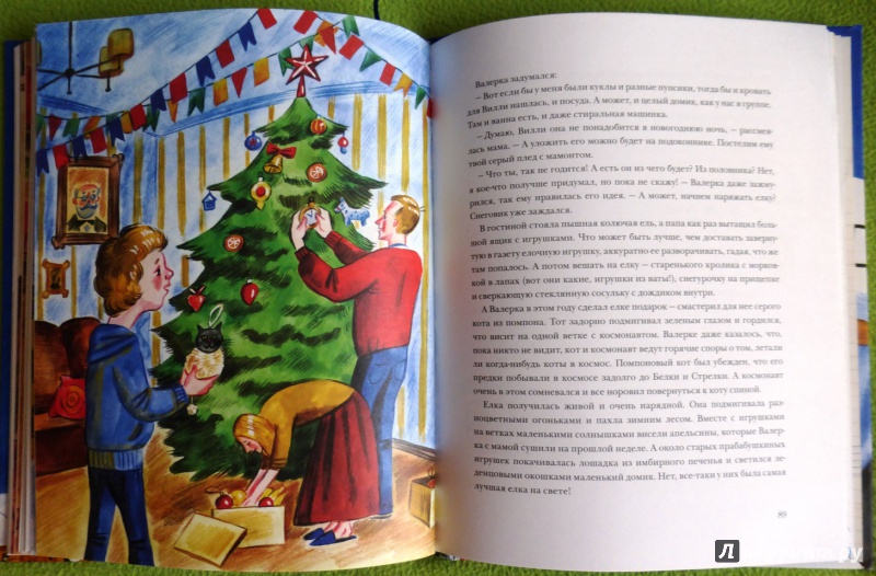 Иллюстрация 47 из 79 для Чудеса в кармашке, или Поиски Деда Мороза - Ася Ванякина | Лабиринт - книги. Источник: reader*s