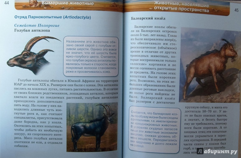 Иллюстрация 16 из 41 для Вымершие животные | Лабиринт - книги. Источник: Соловьев  Владимир