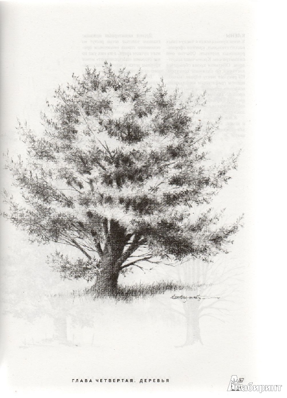 Иллюстрация 5 из 30 для Пейзаж. Техника рисования - Стенли Молцмен | Лабиринт - книги. Источник: Lustralis