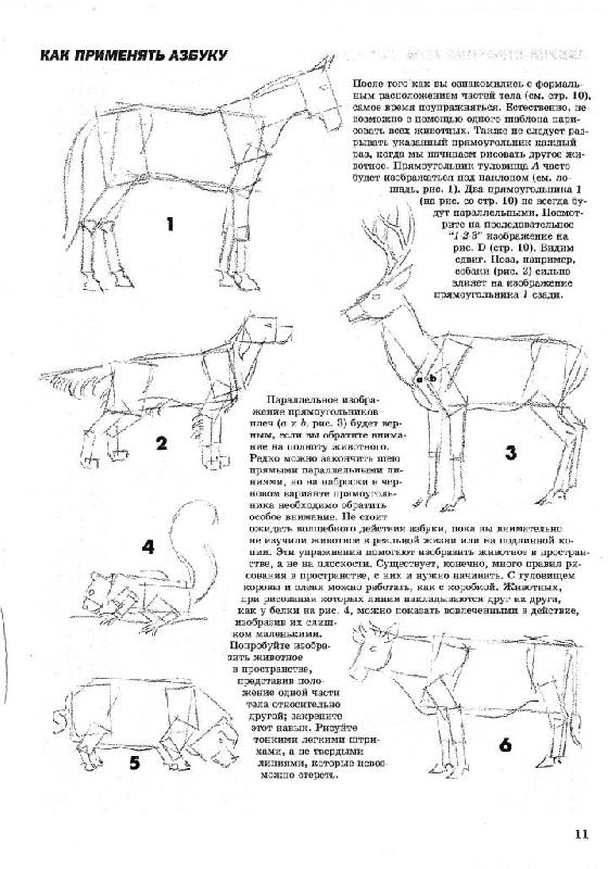 Иллюстрация 11 из 41 для Как рисовать животных - Джек Хамм | Лабиринт - книги. Источник: Юта
