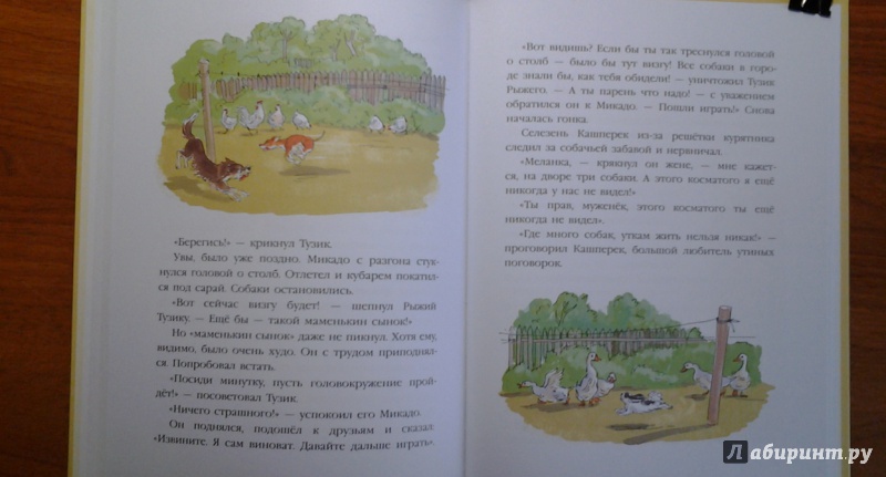 Иллюстрация 31 из 46 для Тузик, Рыжий и гости - Ян Грабовский | Лабиринт - книги. Источник: Викуша-мама