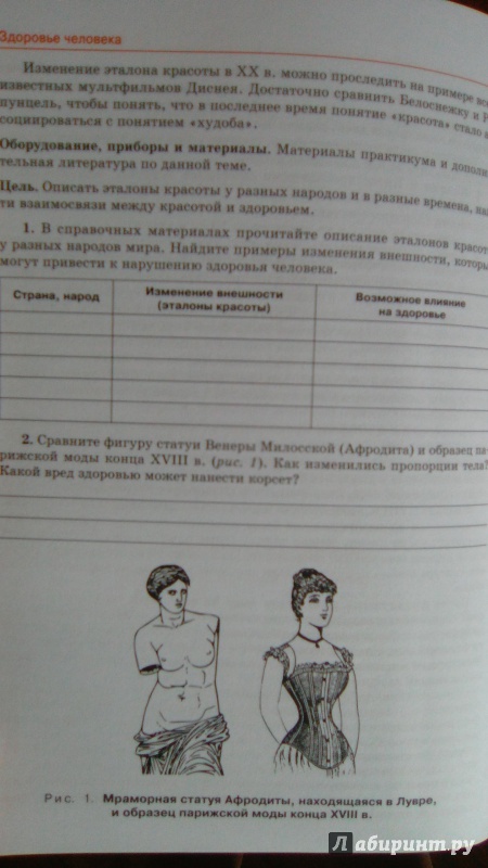 Иллюстрация 12 из 18 для Биология. 8 класс. Культура здоровья человека. Практикум с основами экологического проектир. ФГОС - Александрова, Болгова | Лабиринт - книги. Источник: Босова  Юлия Игоревна