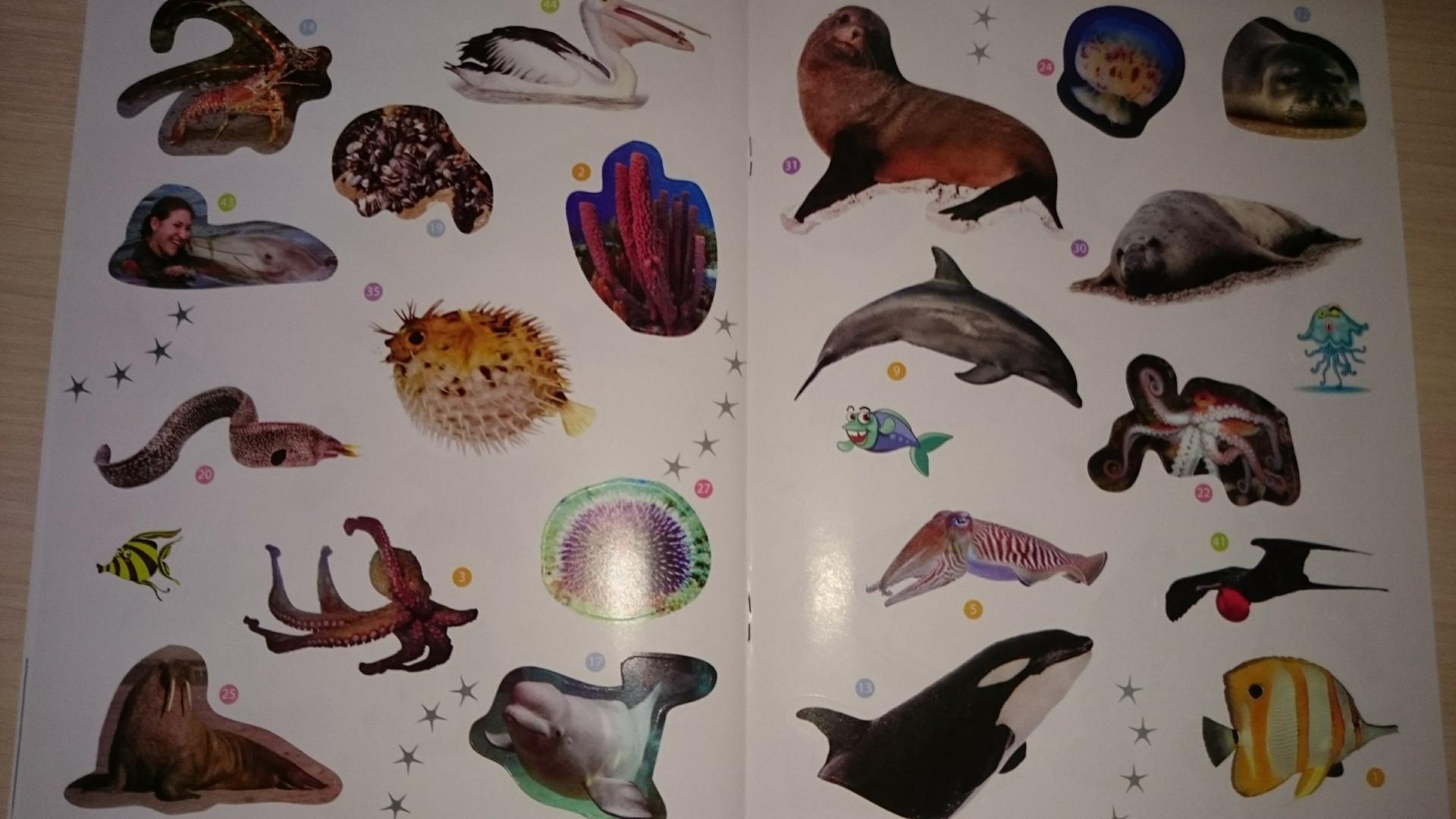 Иллюстрация 12 из 29 для Морские животные. Энциклопедия животных с наклейками | Лабиринт - книги. Источник: Террил