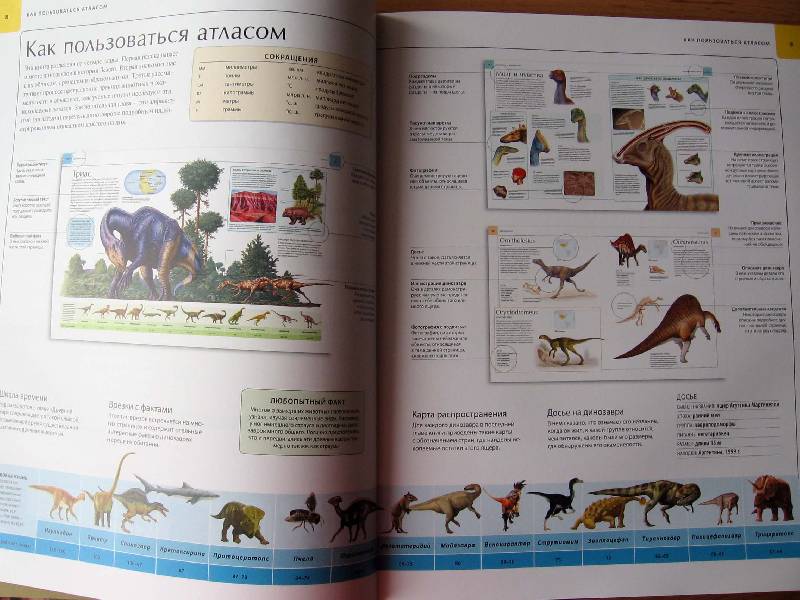 Иллюстрация 58 из 109 для Динозавры. Иллюстрированный атлас - Майкл Бретт-Шуман | Лабиринт - книги. Источник: Red cat ;)