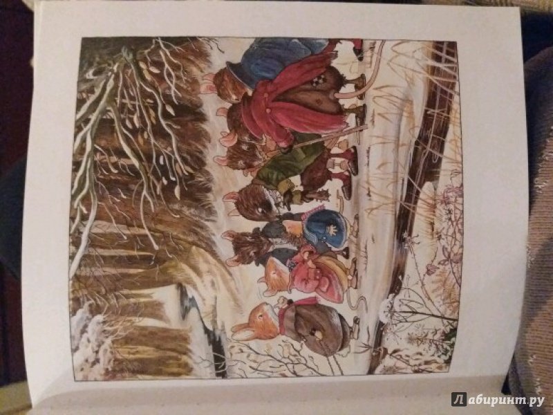 Иллюстрация 49 из 99 для Чудеса в зимнем лесу - Патерсон, Патерсон | Лабиринт - книги. Источник: Абрамова Екатерина и Антон