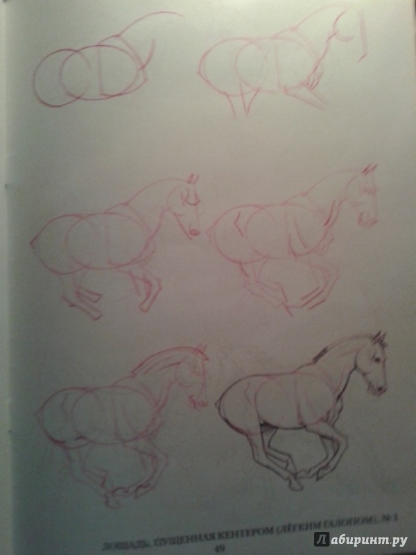 Иллюстрация 9 из 33 для Рисуем 50 лошадей - Ли Эймис | Лабиринт - книги. Источник: Ксения
