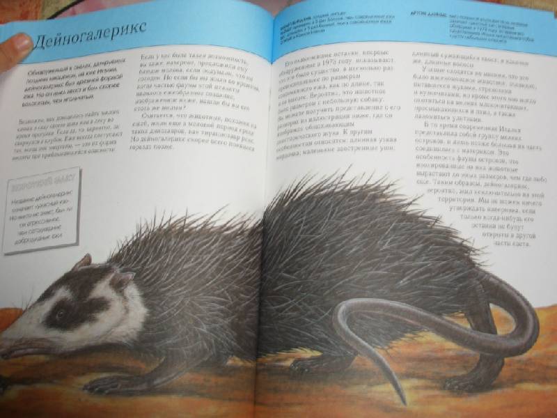 Иллюстрация 43 из 58 для Вымершие животные. Полная энциклопедия | Лабиринт - книги. Источник: sher