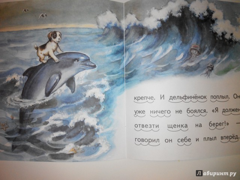 Иллюстрация 16 из 17 для Дельфинёнок и чайка - Елена Ермолова | Лабиринт - книги. Источник: Irbis