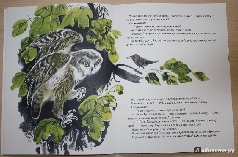 Иллюстрация 12 из 47 для Теремок - Виталий Бианки | Лабиринт - книги. Источник: КНИЖНОЕ ДЕТСТВО