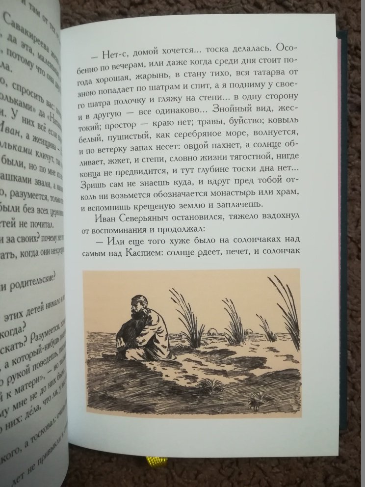 Иллюстрация 29 из 63 для Очарованный странник. Левша - Николай Лесков | Лабиринт - книги. Источник: Marla Singer