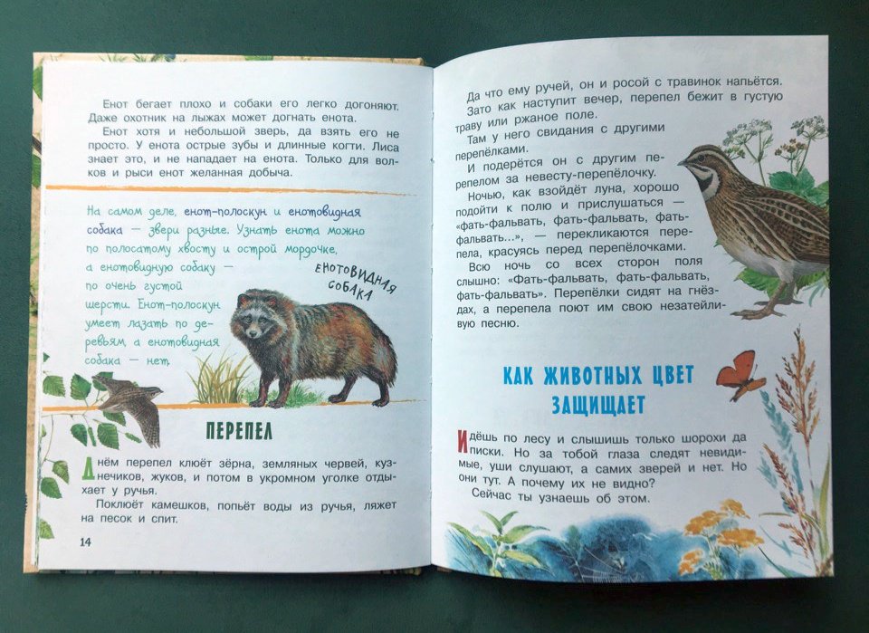 Иллюстрация 23 из 36 для Про птиц и зверей - Геннадий Снегирев | Лабиринт - книги. Источник: Лабиринт