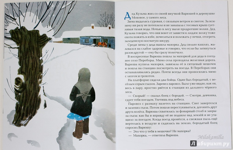Иллюстрация 58 из 68 для Стальное колечко - Константин Паустовский | Лабиринт - книги. Источник: Букландия