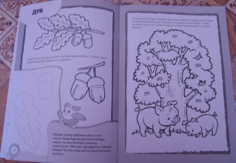 Иллюстрация 8 из 11 для Рисуем и раскрашиваем деревья и плоды | Лабиринт - книги. Источник: Tatka