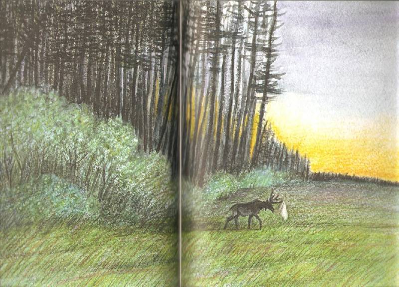 Иллюстрация 9 из 20 для Зимняя дверь - Станислав Востоков | Лабиринт - книги. Источник: Remina