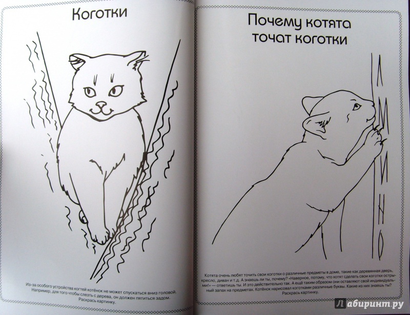 Иллюстрация 8 из 14 для Котята - Анна Торманова | Лабиринт - книги. Источник: Соловьев  Владимир
