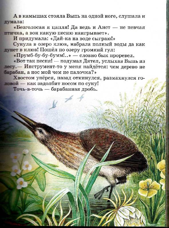 Иллюстрация 81 из 87 для Сказки о родной природе - Бианки, Сладков, Шим | Лабиринт - книги. Источник: Нюта