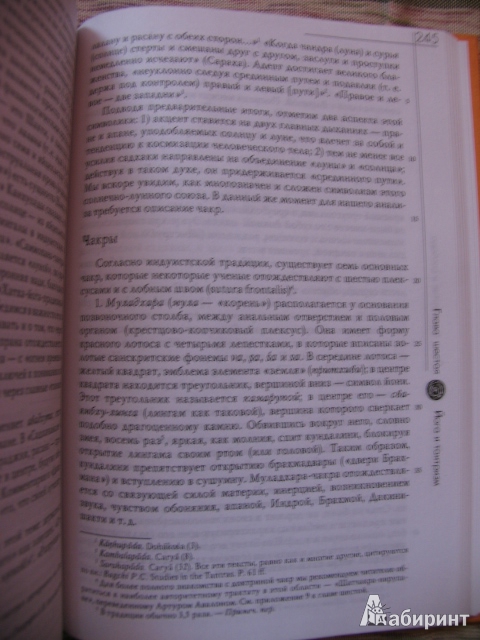 Иллюстрация 9 из 24 для Йога: Бессмертие и свобода - Мирча Элиаде | Лабиринт - книги. Источник: manuna007