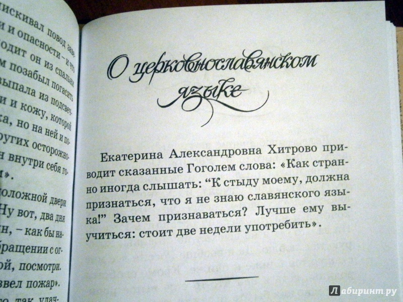 Иллюстрация 19 из 20 для Однажды Гоголь... Рассказы из жизни писателя - Владимир Воропаев | Лабиринт - книги. Источник: D8  _