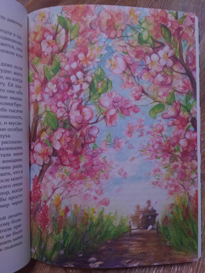 Иллюстрация 89 из 141 для Аня с фермы Зеленые Крыши - Люси Монтгомери | Лабиринт - книги. Источник: Елена