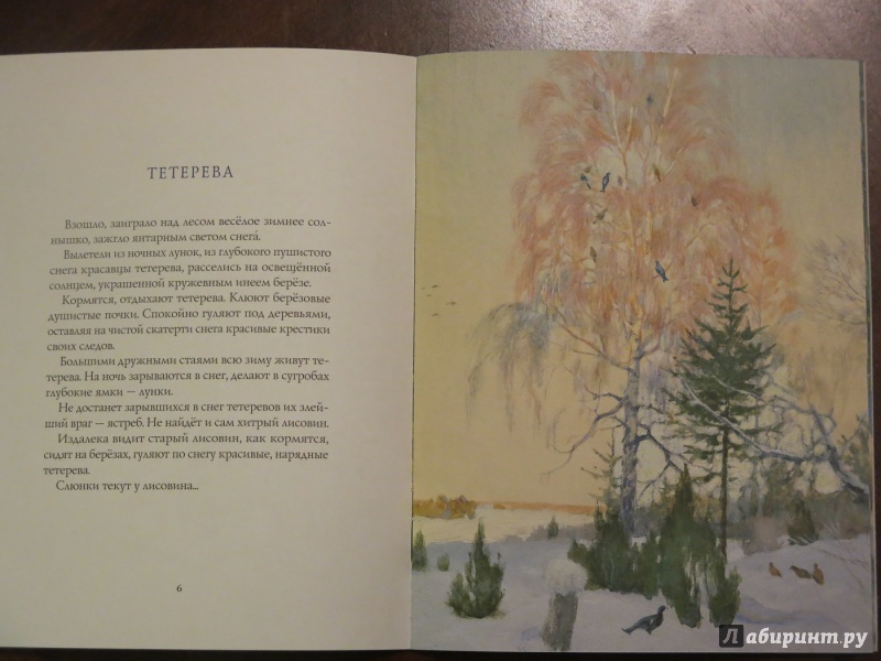 Иллюстрация 14 из 64 для Зима в лесу - Иван Соколов-Микитов | Лабиринт - книги. Источник: anschaffen